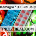 Kamagra 100 Oral Jelly new14